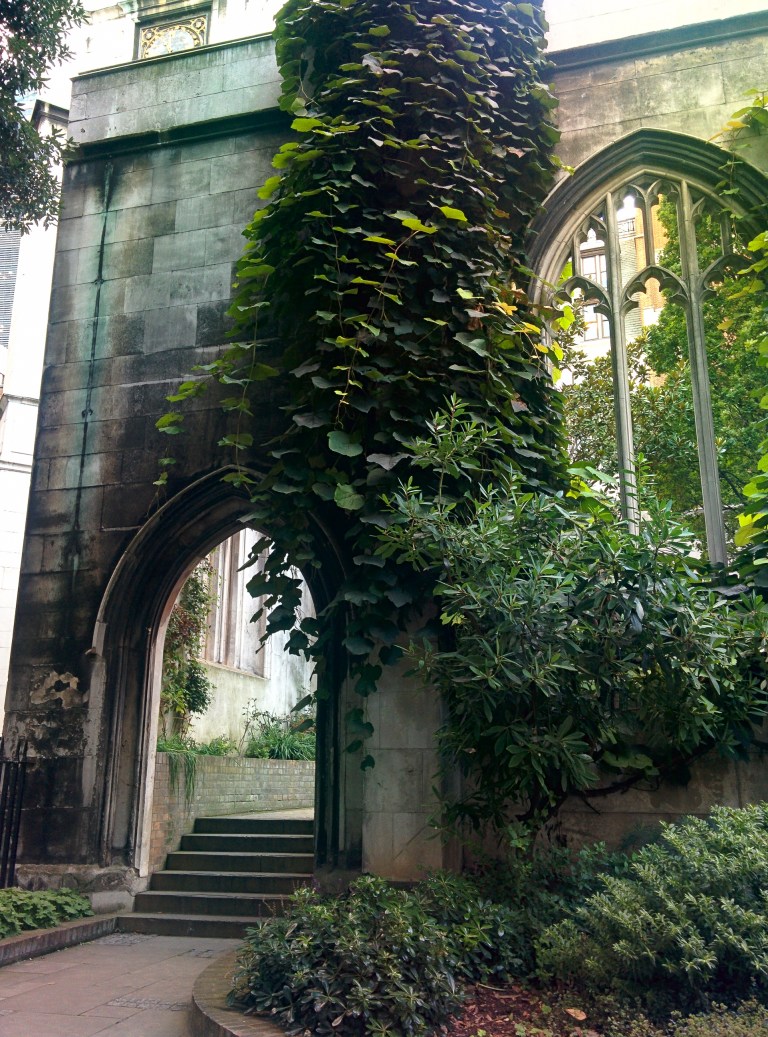 IMG_20161010_173127-WEB