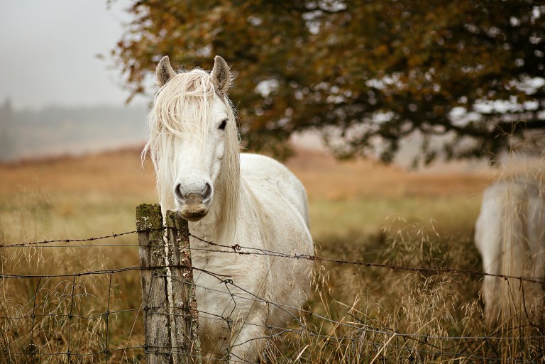 Processed with VSCO with a4 preset