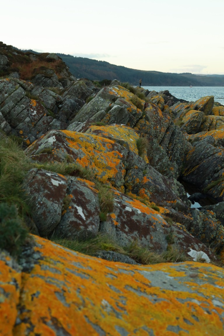 20171029083106_IMG_0242