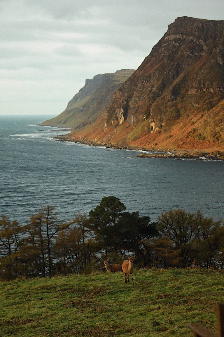 53B1F48D-5833-4A25-9622-C0A0BCD072AA