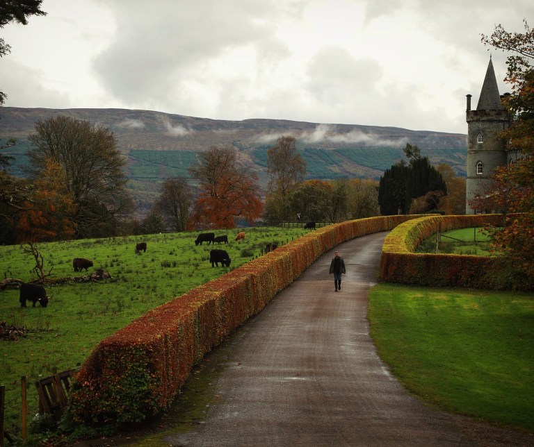 IMG_20171020_222737_287