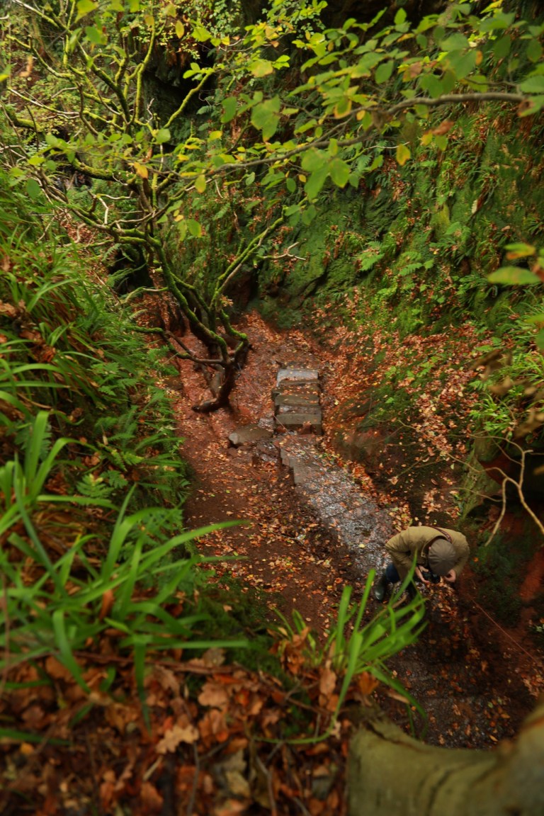 20171021025218_IMG_7760