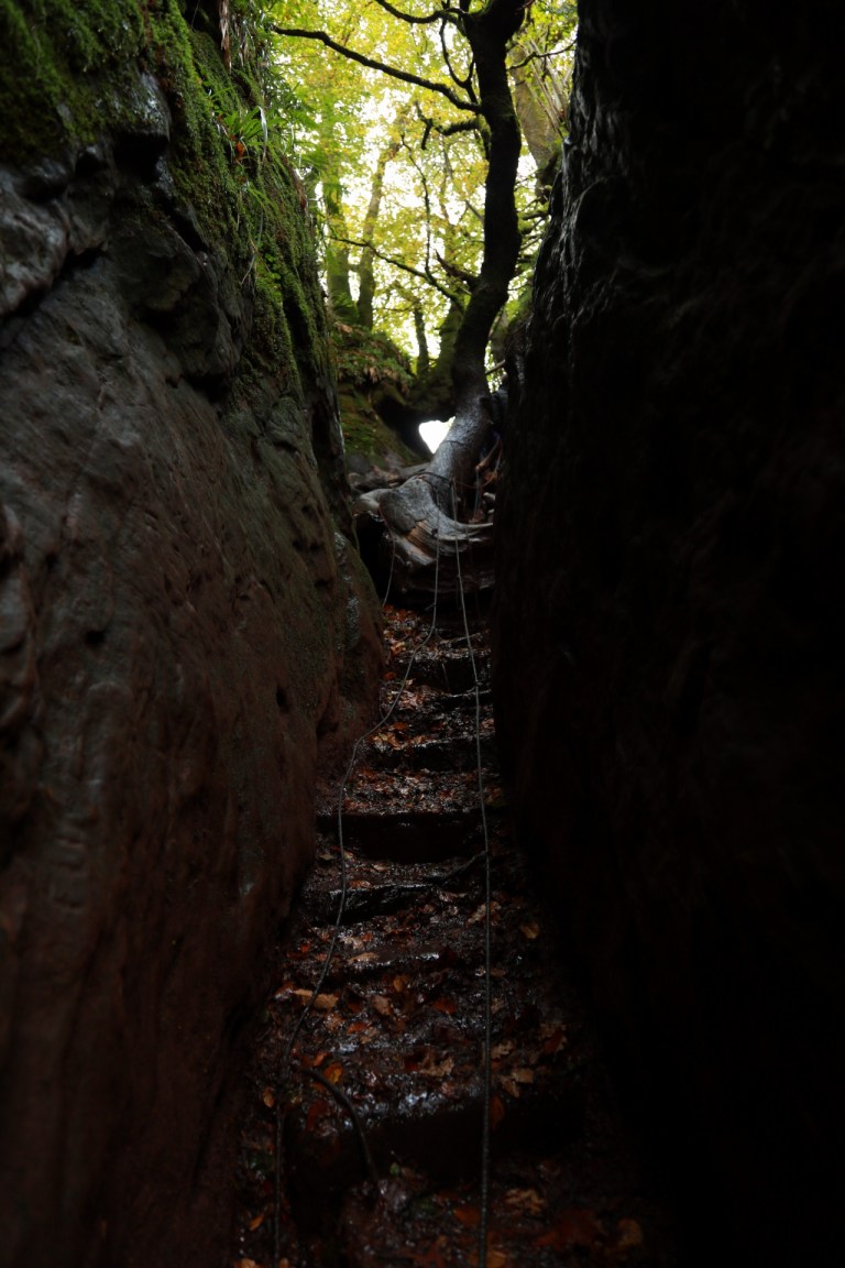 20171021030109_IMG_7783_1