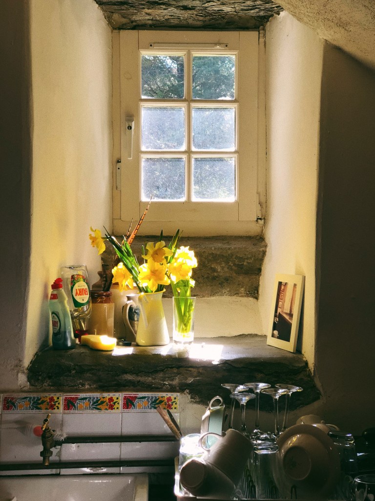 Processed with VSCO with 6 preset