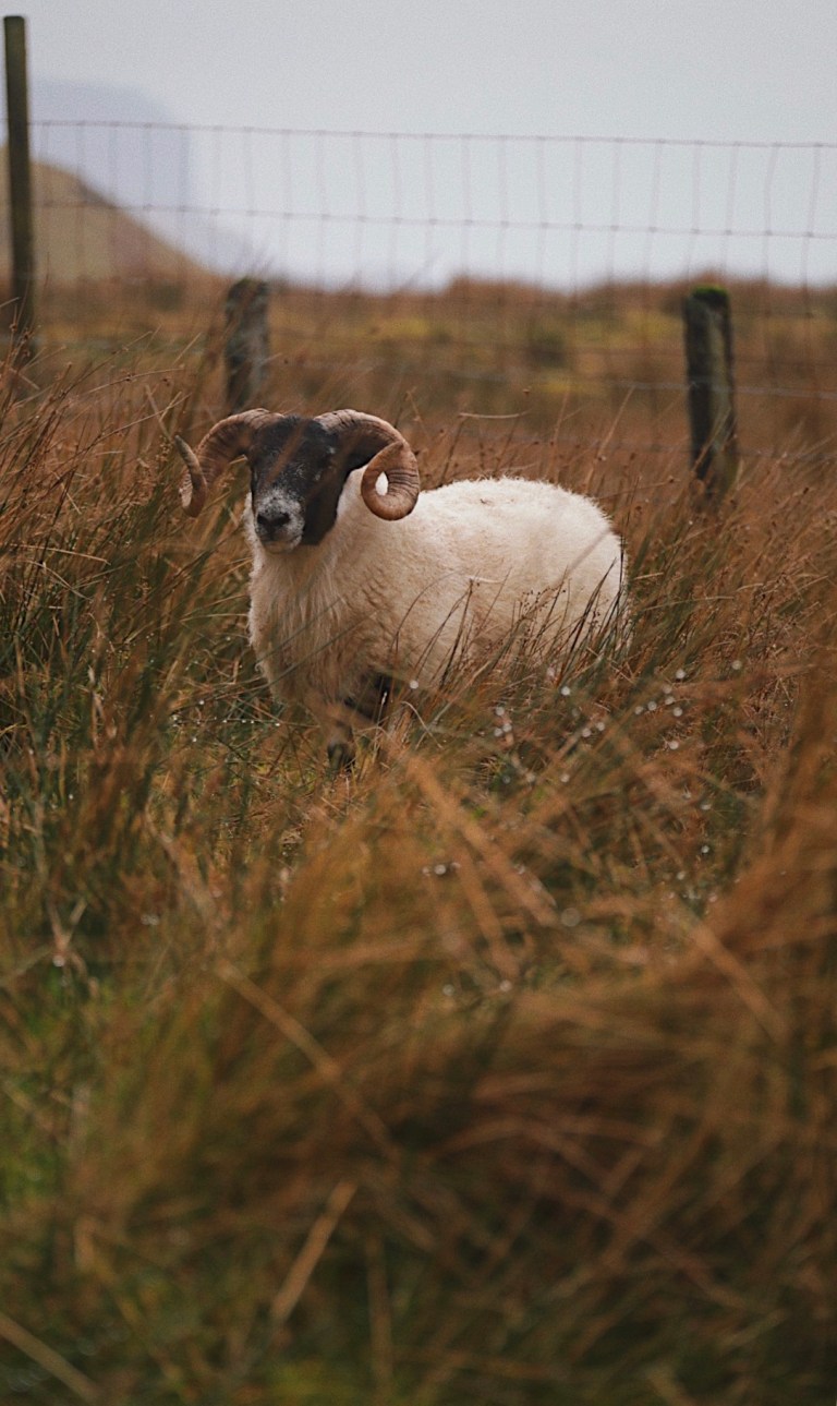 Processed with VSCO with c7 preset