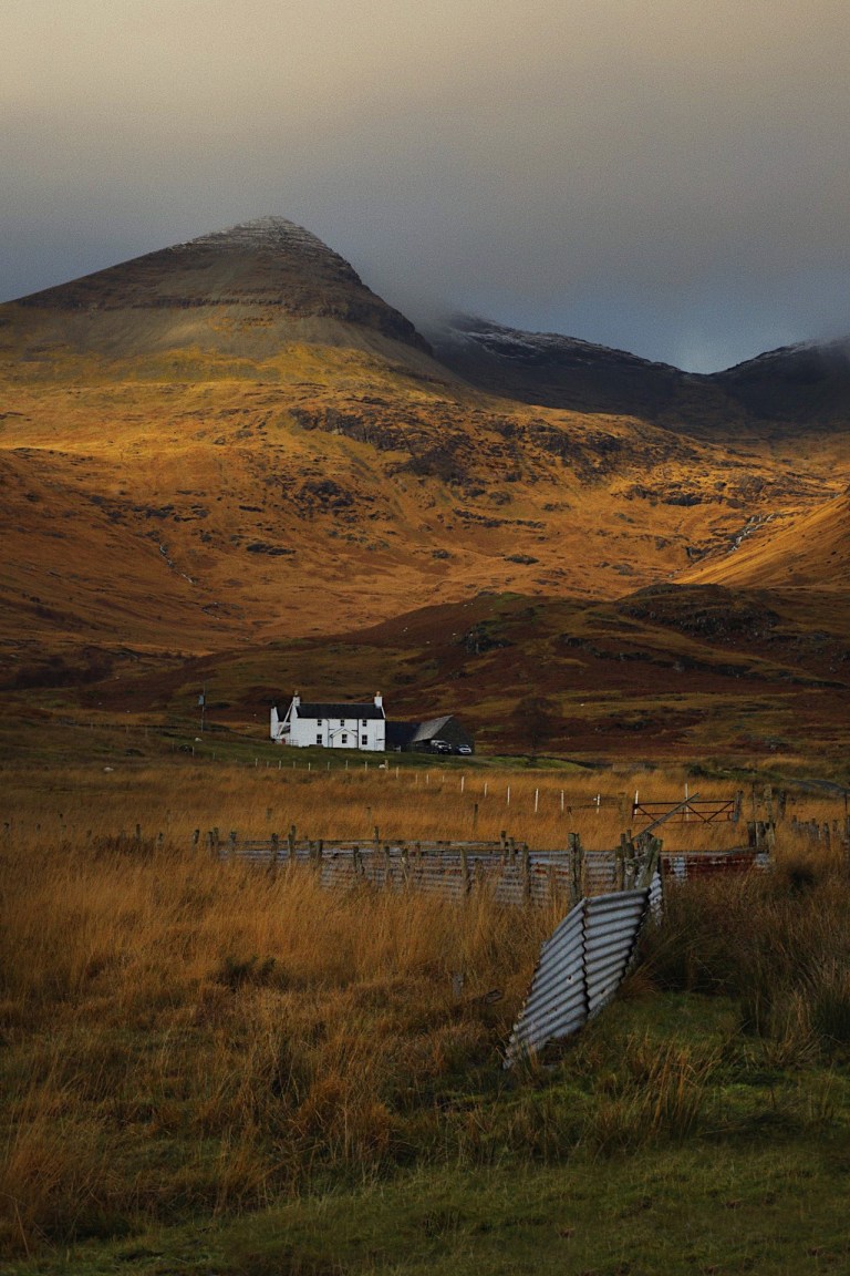 2a5b633c-69c3-4df7-8db1-332ee03d2869