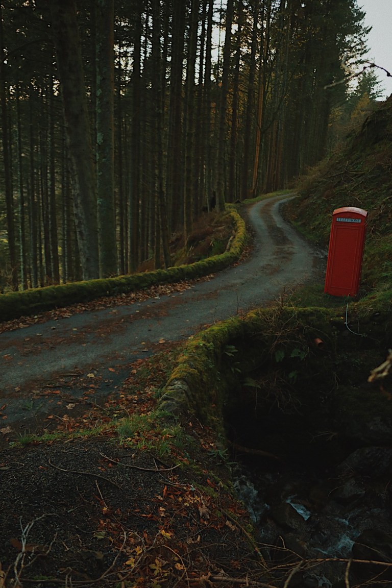 Processed with VSCO with c7 preset