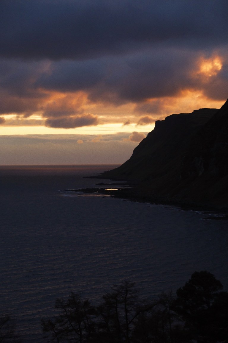 5517bf20-7e89-4a07-b8c7-ec0c2ba20f73