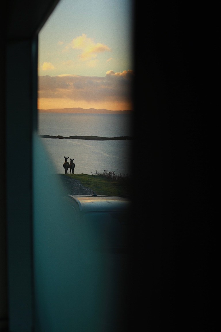 6c074641-5c9c-4bc9-8da9-bc02069a9837