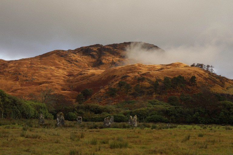 b1471811-be02-4b5c-9d24-eca42a365926