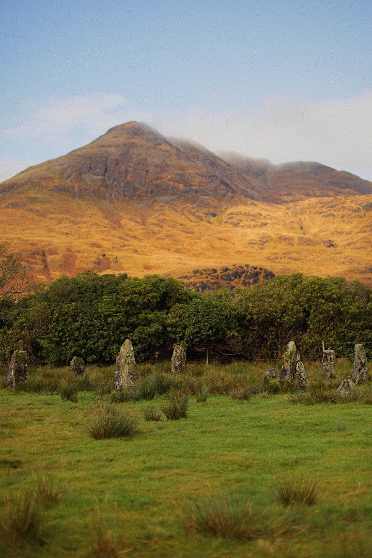 b6309900-bc2b-432a-ba14-0cd7ae9a4b6c