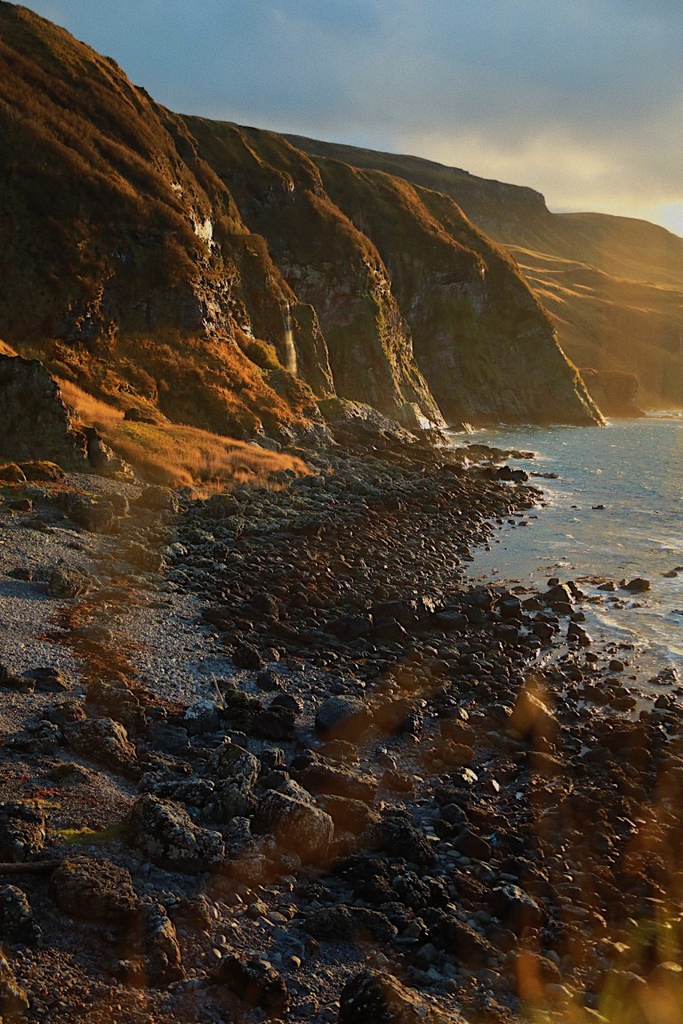 eb7f477d-0074-43a2-89d8-1c2a4941be67