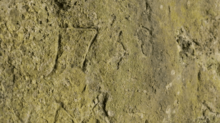 screen shot 2019-01-05 at 11.18.10 pm