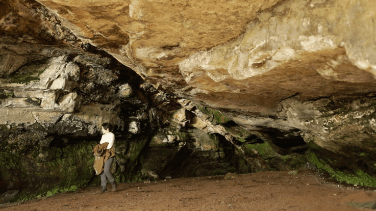 screen shot 2019-01-05 at 11.21.02 pm