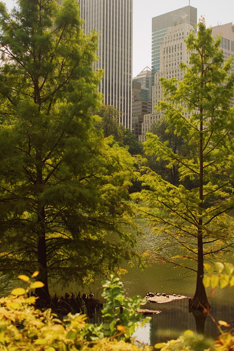 Processed with VSCO with 10 preset