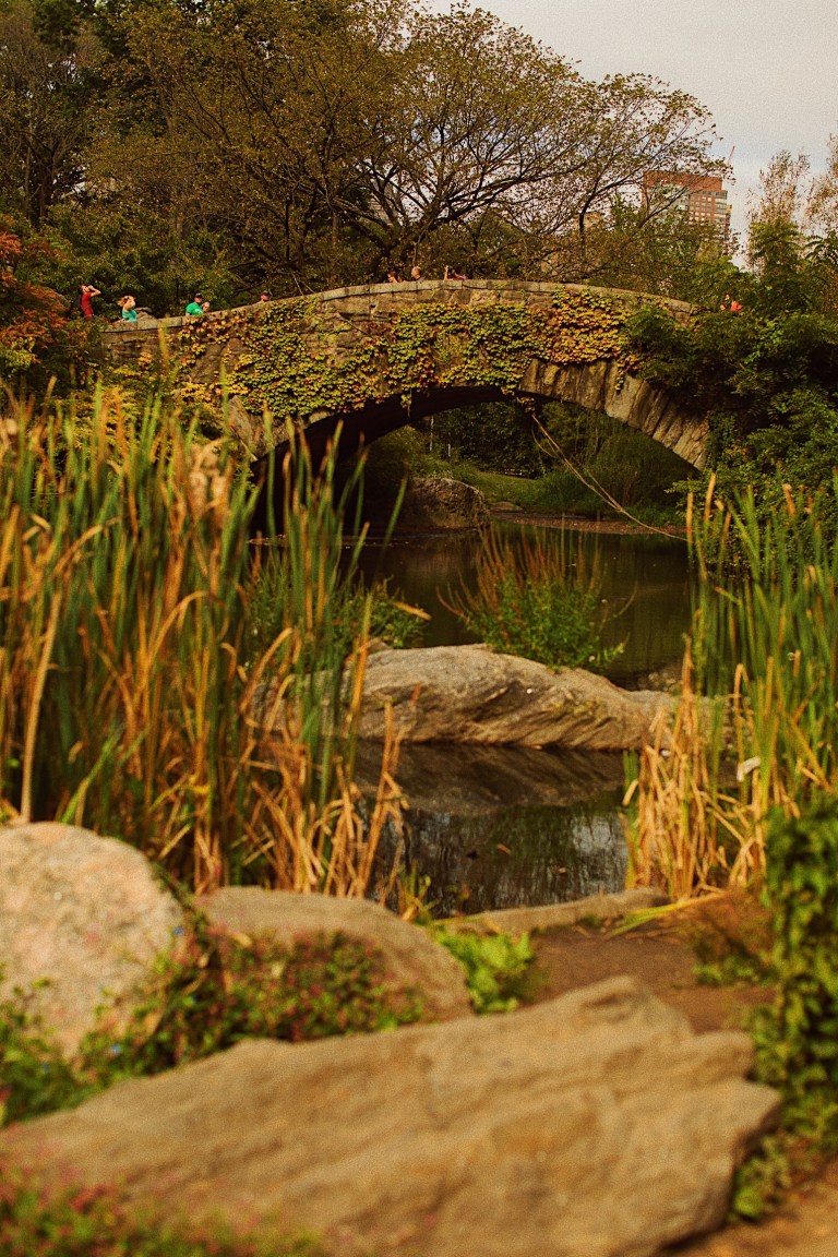 Processed with VSCO with 10 preset