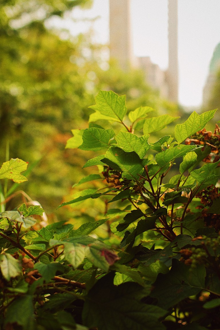 Processed with VSCO with 10 preset